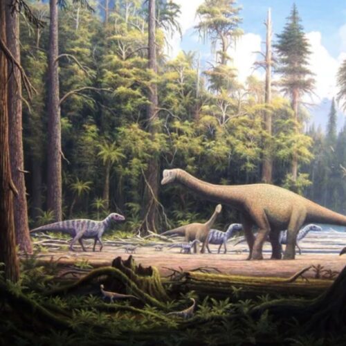 Mural Dinosaurios