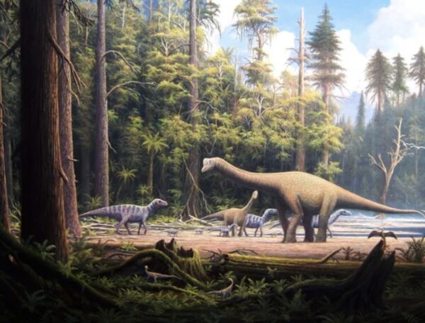 Mural Dinosaurios